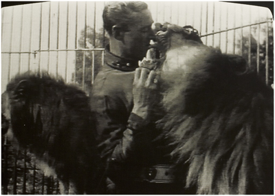 114882 Stevens Karel ( Carlo ) tijdens de dressuur van zijn leeuwen, 1939