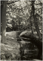 119692 Deurne. Natuuropname in de omgeving van Deurne, 1960