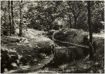 119693 Deurne. Natuuropname in de omgeving van Deurne, 1960