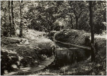 119693 Deurne. Natuuropname in de omgeving van Deurne, 1960
