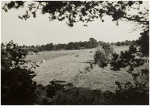 119695 Deurne. Natuuropname in de omgeving van Deurne, 1960