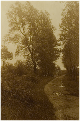 119798 Noord Brabants landschap. Fraaie laan in een rustige omgeving, z.j.