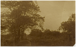 119803 Noord Brabants landschap. Plaatje genomen aan een bosrand, in het midden het karrespoor, z.j.