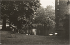 120573 Kasteeltuin, z.j.