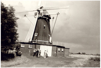 45047 Molen Janzona, Grootschoterweg 17, Budel: in 1937 vanuit Venlo naar Budel overgebracht. In 1980 grondig ...