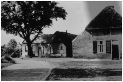 45279 Klein-Schoot gezien richting Budel-Schoot: Willibrordus boom voor oude brouwerij, 1910 - 1920
