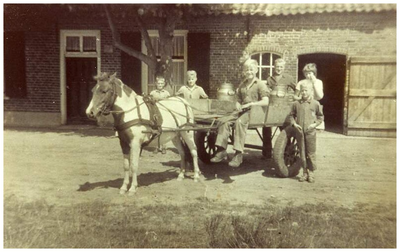45785 Familie van Meijl, Gastel: kinderen van Meijl, 1950 - 1960