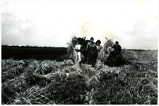 46052 Maaien van het koren: Familie Broers, Gastel, z.j.