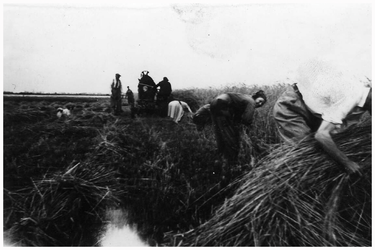 46065 Korenschoven, Gastel: het binden van het gemaaide koren tot schoven. Familie en vrienden helpen mee, 07-1960 - 07-1969