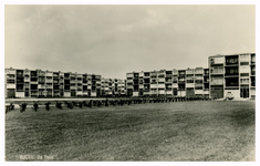 46394 De Root, Budel, Duitse woonwijk, 1962