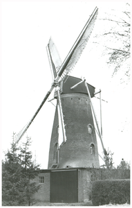 46492 Molen Zeldenrust, Budel, 05-1977