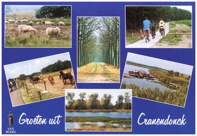 46528 Collage van 6 foto's: natuurgebieden in Cranendonck, 1982 - 1990