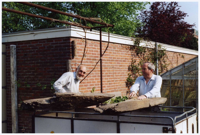 46786 Boomstamputten, Budel. Schoonmaken en behandelen van boomstamputten voor behoud. Door Herman Box en Theo Fransen., 1989