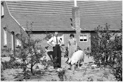 47857 Familie Ceel Lammers, Budel, 1957