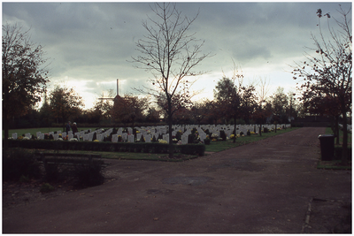 48471 Algemene begraafplaats gemeente Cranendonck, met op achtergrond Molen Janzona