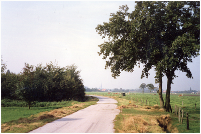 48528 Het platteland gezien vanuit de Nieuwe Dijk naar centrum Budel . Op achtergrond kerk Budel