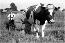 48718 Toon van Hunsel, Budel, melken op het land