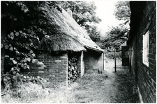 50231 Schuur bij boerderij Sjang Vermeulen, Budel, ca 1960
