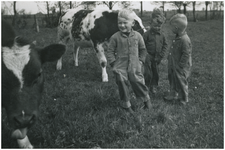 50730 Boerenleven Kouwbergen, Soerendonk, portret in de wei met koeien, portret van Jan Vos, Toon Clement, Vermeulen en ...