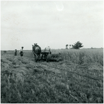 50749 Het boerenleven koren maaien en opzetten, Gastel, 1947
