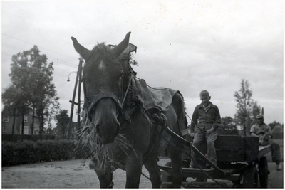 51233 Met paard en kar, Budel , 1962