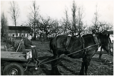 51234 Mart van Og, met paard en kar bij Jo van de Wildenberg in het agelog, Burg. van Houtstraat , 1962