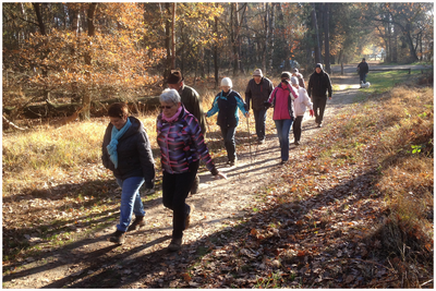 51700 Natuurwandeling Heemkundekring 'Baronie van Cranendonck' op de Hugterheide, 18-11-2018