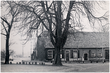52063 Langgevelboerderij Fam. Winterdijk, Maarheeze , circa 1960