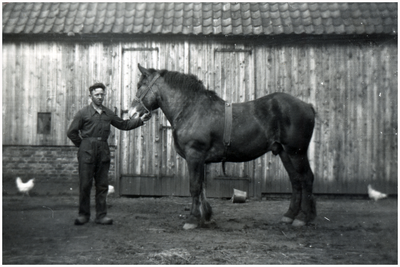 52196 Sjang Slegers met Belgisch trekpaard, Soerendonk, 22-03-1937