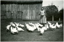 52201 Moeder Slegers voert de kippen bij het kippenhok, Soerendonk, 1937