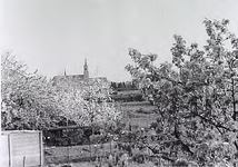 3703 St. Trudokerk, St. Trudoplein, gezien vanaf de Schootsestraat met tussenliggende tuinen en landerijen, 18-04-1949