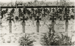 190352 Graven van Duitse militairen op begraafplaats de Oude Toren in Woensel. De militairen sneuvelden tijdens de ...