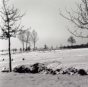 22875 Winteropname met op de achtergrond molen De Korenaar, 1954 - 1955