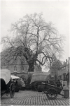 2053 De linde aan de noord-westzijde van de Markt met op de achtergrond het telegraafkantoor tijdens een marktdag, 05-01-1897