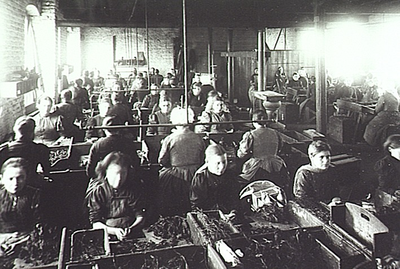 9074 De tabakstripperij in de sigarenfabriek Mignot en de Block aan de Kanaalstraat, ca. 1900