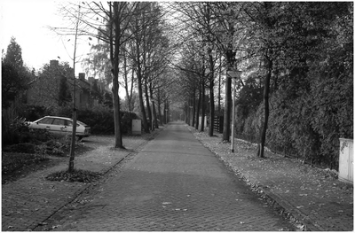 189281 Spaanseweg, gezien vanaf de 'Dorpsstraat', richting 'Gasthuisstraat', 04-11-1992