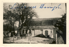 577648 Boerderij met bomen aan de Rinkveldseweg, 1956