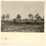 577847 Tuinbouwkas aan de Hazeldonk, 1963
