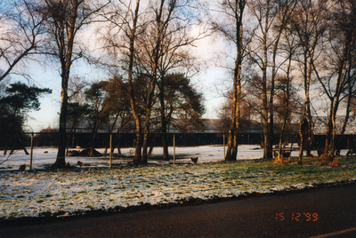 580910 Prins Willem Alexander manege in de sneeuw aan de Reeweg 3, 15-12-1999