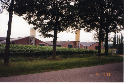 580938 Stallen aan de Sengersbroekweg , 10-07-1996