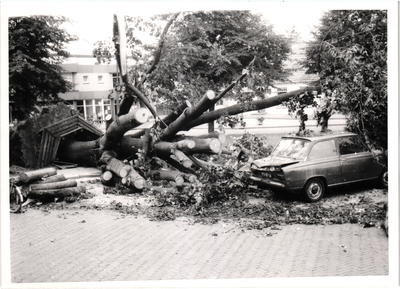 576432 Op het Koningsplein werd een boom geveld door de storm, 3-8-1980
