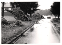 576433 Wateroverlast en afgeknakte takken aan de Floralaan, na de storm, 3-8-1980