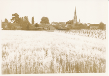 576476 Graanveld, met rechts korenschoven. Met de kerk op de achtergrond, 1930