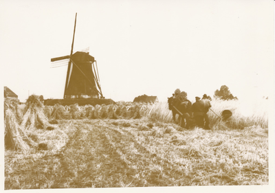 576478 Het maaien van het koren met paard en wagen. Met de molen op de achtergrond, 1930