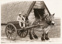 576599 Toon en Nard Vervoordeldonk, met paard en wagen, 1980