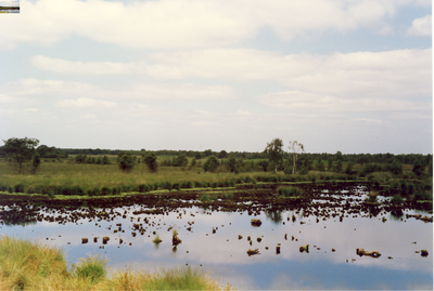 577184 Natuurgebied reservaat De Groote Peel , 1989