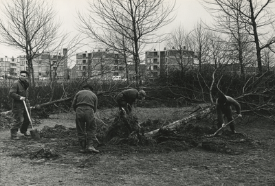 198632 Het uitgraven van een boom door vier mannen, op de achtergrond drie flats, 24-02-1970
