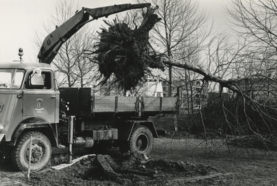 198636 Het op een vrachtwagen takelen van een boom , 24-02-1970