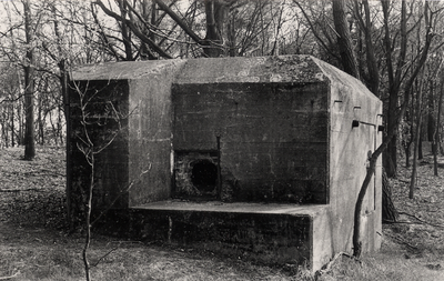 210371 Bunker of Kazemat. staan nu nog 3 stuks bij elkaar in de Peel tussen Asten en Meijel. Gebouwd 1938, 1987