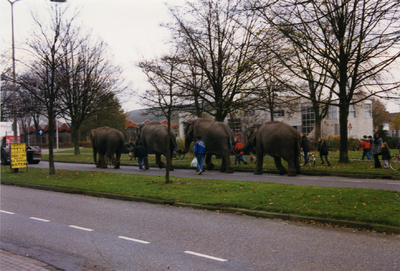211025-002 Circus Olifanten op straat, 1998
